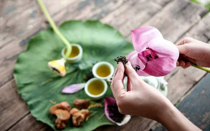 Lotus Flower Tea Vietnam Best Flower Site