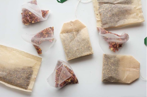 Pyramids tea bags vs regular: Which are better?