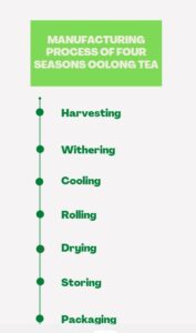 Manufacturing Process of Four Season Oolong Tea