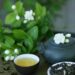 Discover 8 excellent Jasmine Tea benefits for drinkers
