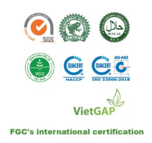 A tour of FGC’s tea factory in Phu Tho province- See what attracts you most?