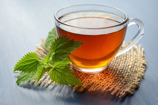 Is tea good for health?