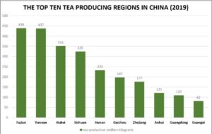 Choose the best tea supplier by discovering 6 top tea growing regions in the world