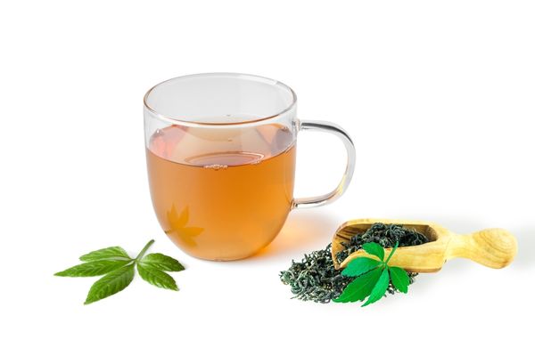 Does Jiaogulan tea have caffeine - benefit