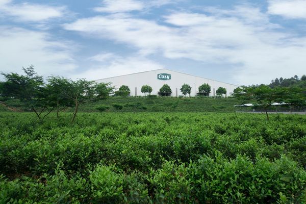 FGC ensures a stable tea supply