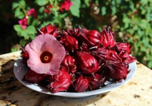FGC- the best manufacturer and supplier of Hibiscus tea in Vietnam