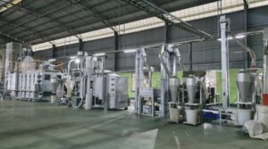 Green tea powder manufacturing process- Things you need to know