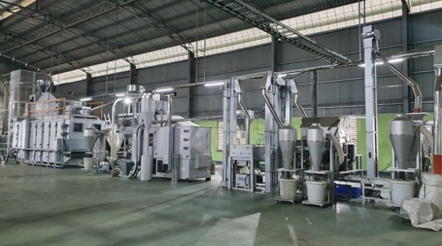 Green tea powder manufacturing process- Things you need to know