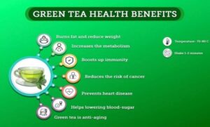 Green tea powder manufacturing process- Things you need to know