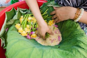Lotus tea making process- explore interesting methods of making Lotus tea in Vietnam