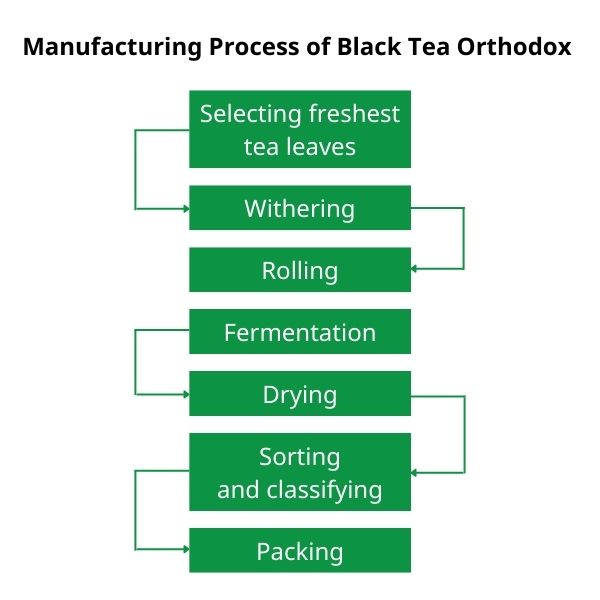 Tea Orthodox Process