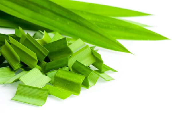 a punch of pandan leaves