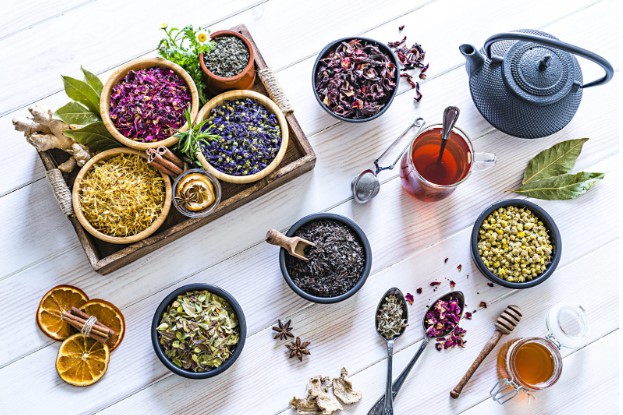 Pyramids tea bags vs regular: Which are better?