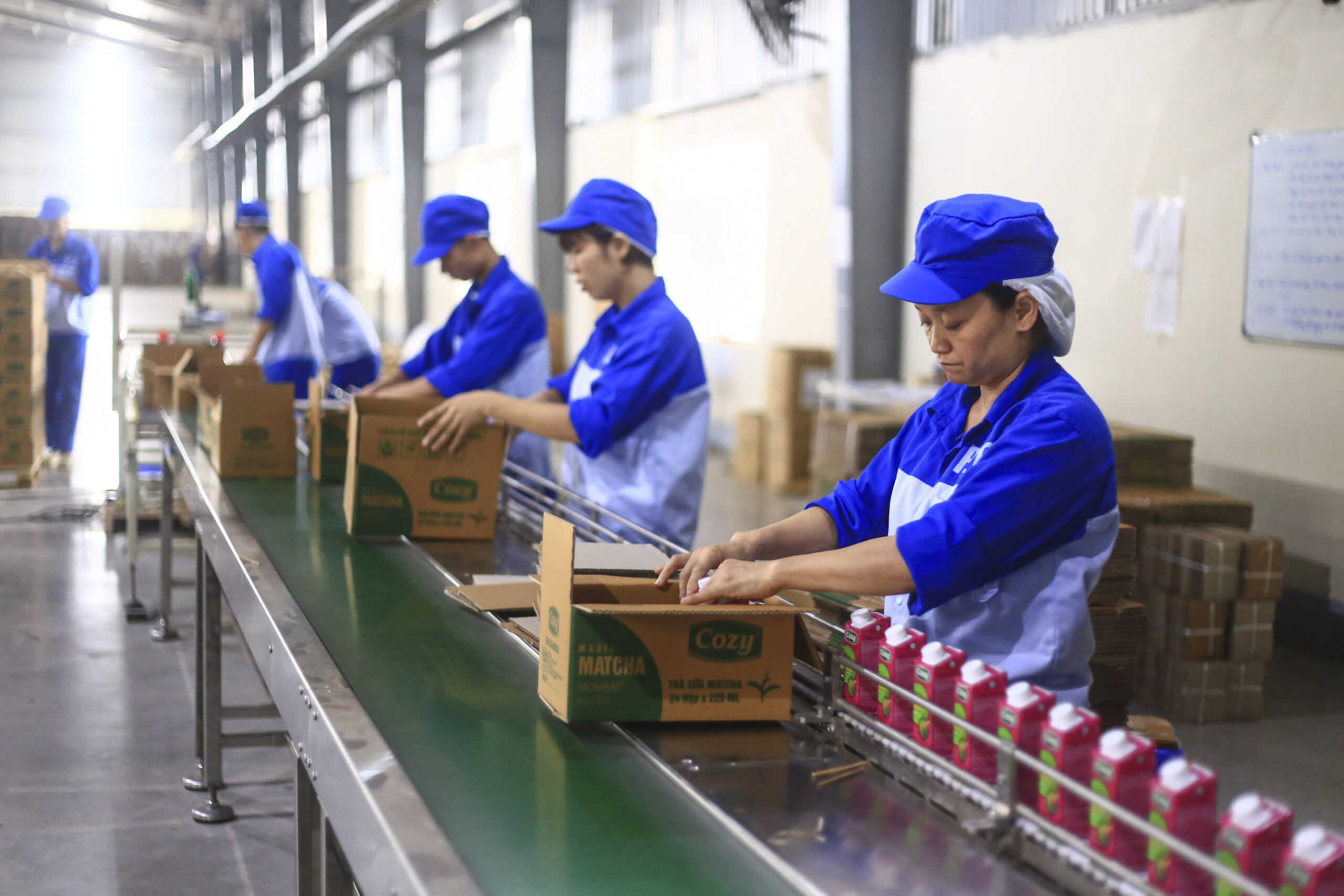 What is Vietnamese ginger lemongrass tea? 4 reasons why you choose FGC as your ginger lemongrass tea supplier