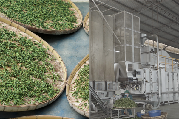 Matcha cooling methods