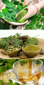 Vietnamese Moringa tea- an ideal drink for a healthy lifestyle from FGC