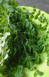 Vietnamese Moringa tea- an ideal drink for a healthy lifestyle from FGC