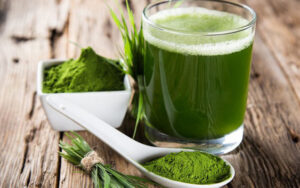 Vietnamese Moringa tea- an ideal drink for a healthy lifestyle from FGC