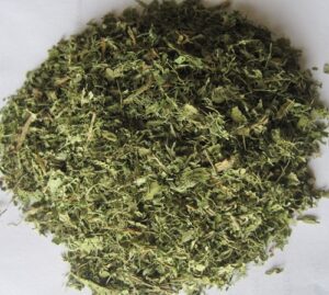 Vietnamese Moringa tea- an ideal drink for a healthy lifestyle from FGC