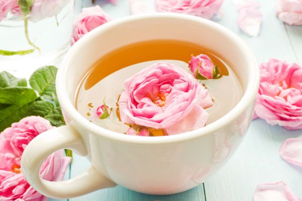 fresh rose tea cup