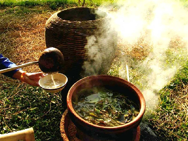 Making traditional fresh leaves tea