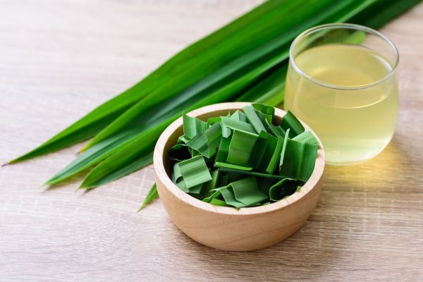 pandan tea with fresh leaves