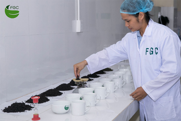 Tea is sampled and documented by FGC’s R&D team