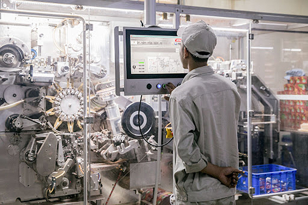 Automated tea bag line in FGC’s factory