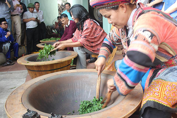 Natives processing freshly harvested tea