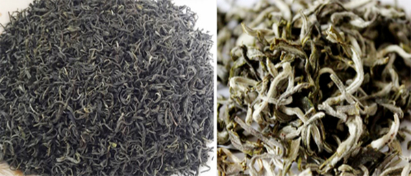 Tan Cuong Tea (left) and Shan Tuyet Tea (right)