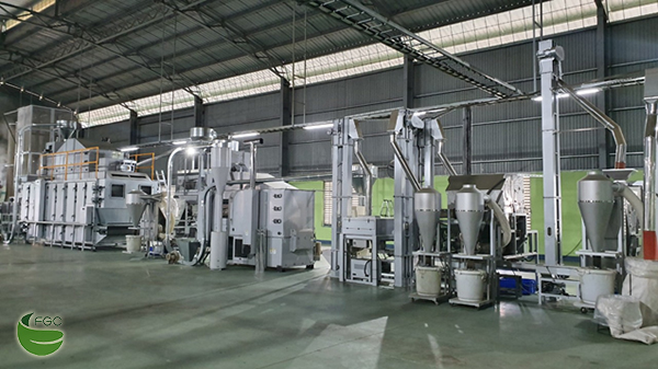 Modern processing line at Phu Tho factory