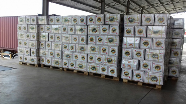 packing tea for export