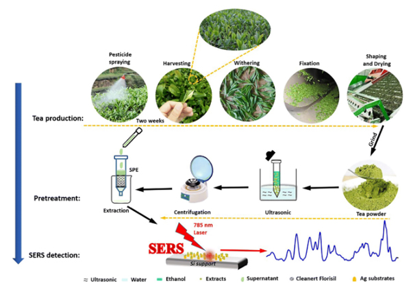 Pesticides residues on tea leaves can be detected by different methods