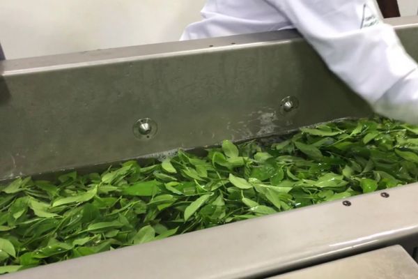 Pure water ensures product quality