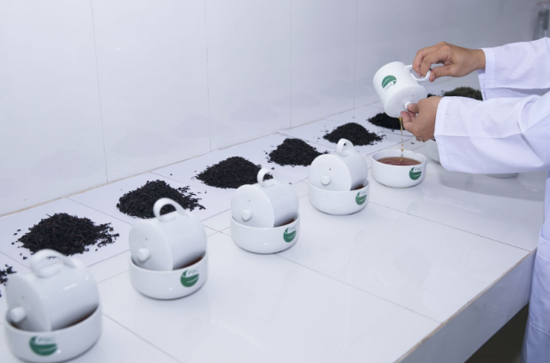 testing different tea blend formula
