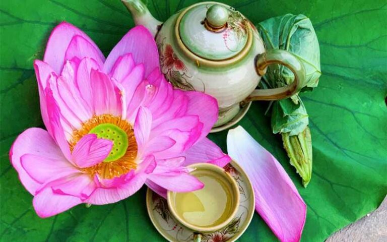 Vietnamese Lotus green tea