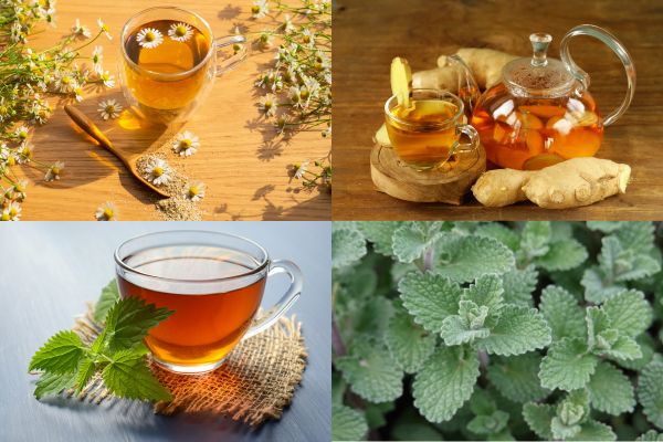 several herbal teas are good for toddlers