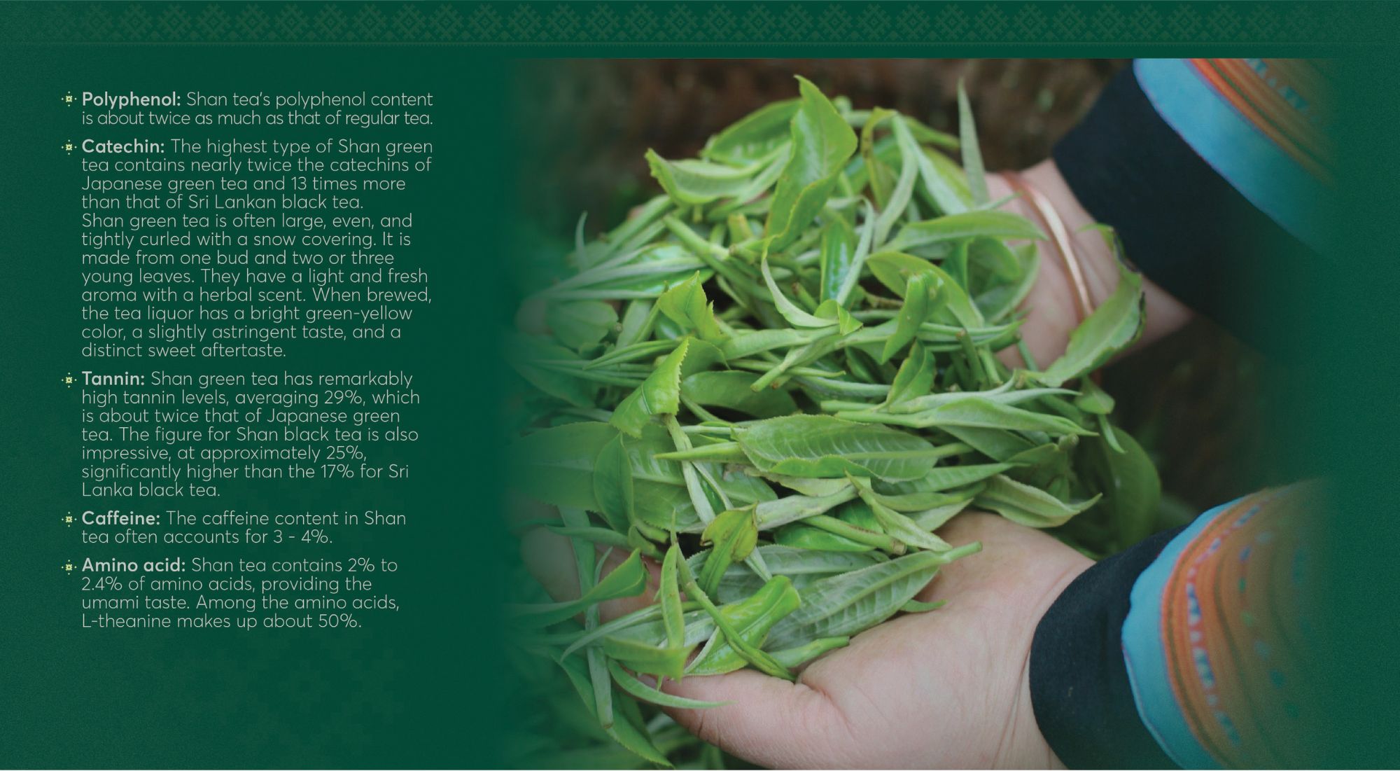 Ancient tea nutritional value