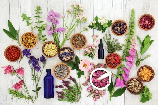 best herbal teas.jpg