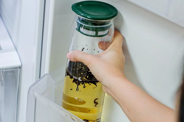 Keeping the tea in the fridge